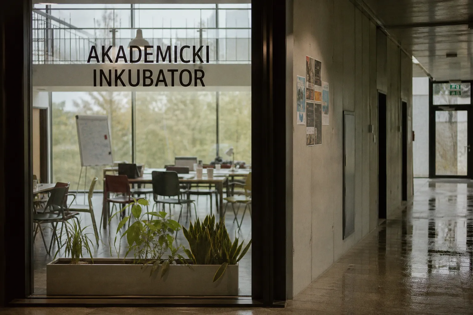 Inkubatory akademickie a rozwój startupu: czy warto szukać wsparcia na uczelni?