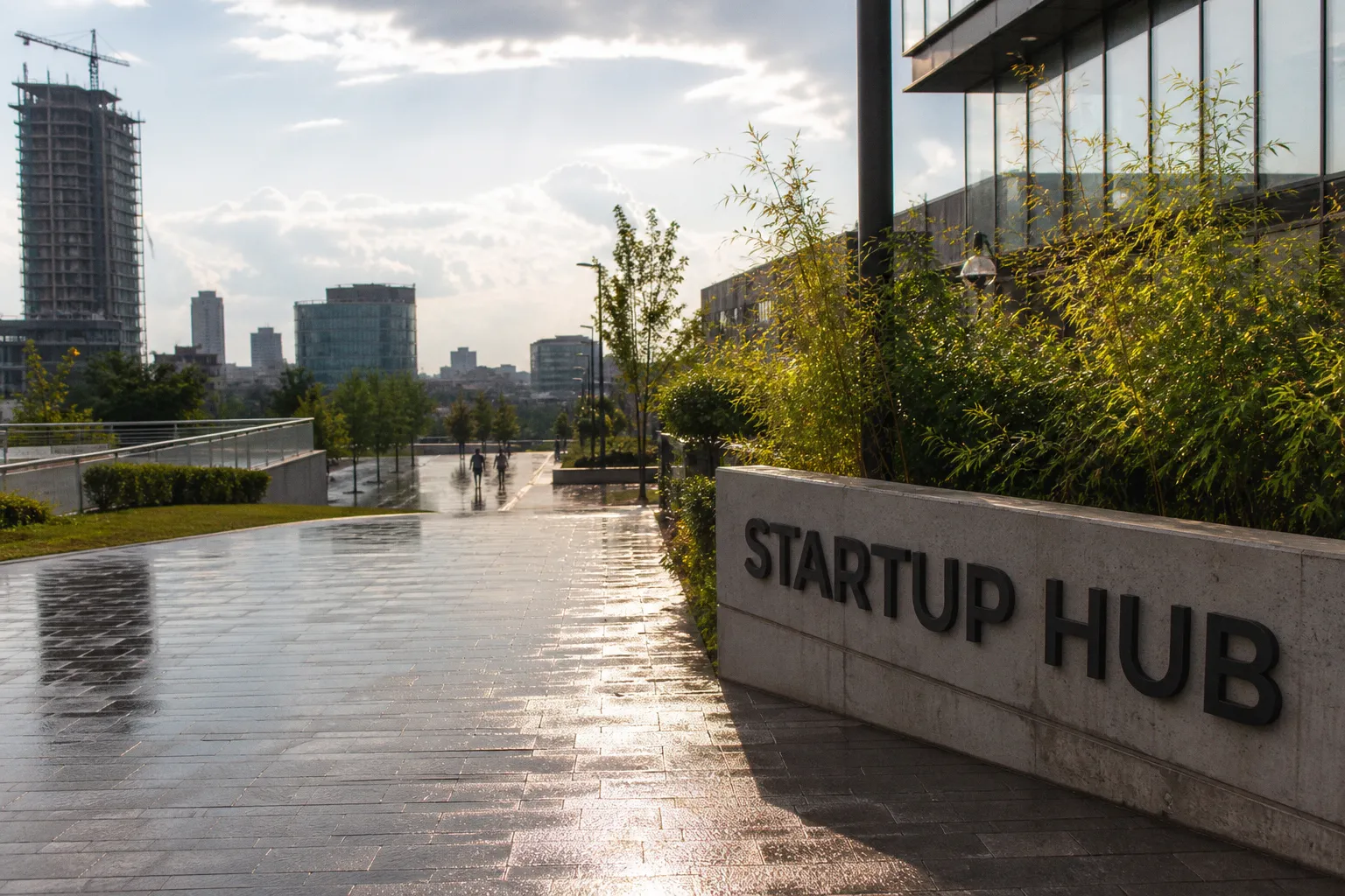 Wysyp nowych startupów: jak wyłowić przyszłe jednorożce z tysięcy debiutów